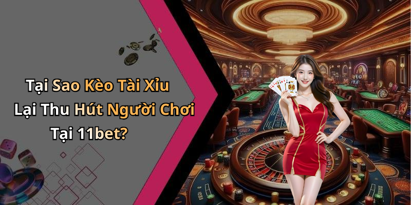 Tại Sao Kèo Tài Xỉu Lại Thu Hút Người Chơi Tại 11bet?